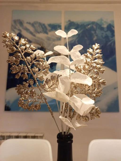 Bel Appartement Familial Et Cosy Saint-Gervais-les-Bains Exteriör bild